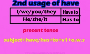 2nd usage of have present tense | Spoken English institures 